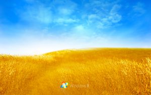 windows 95 wallpaper