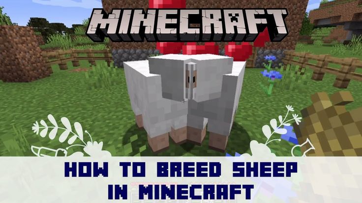 How To Breed Sheep In Minecraft? Complete Guide